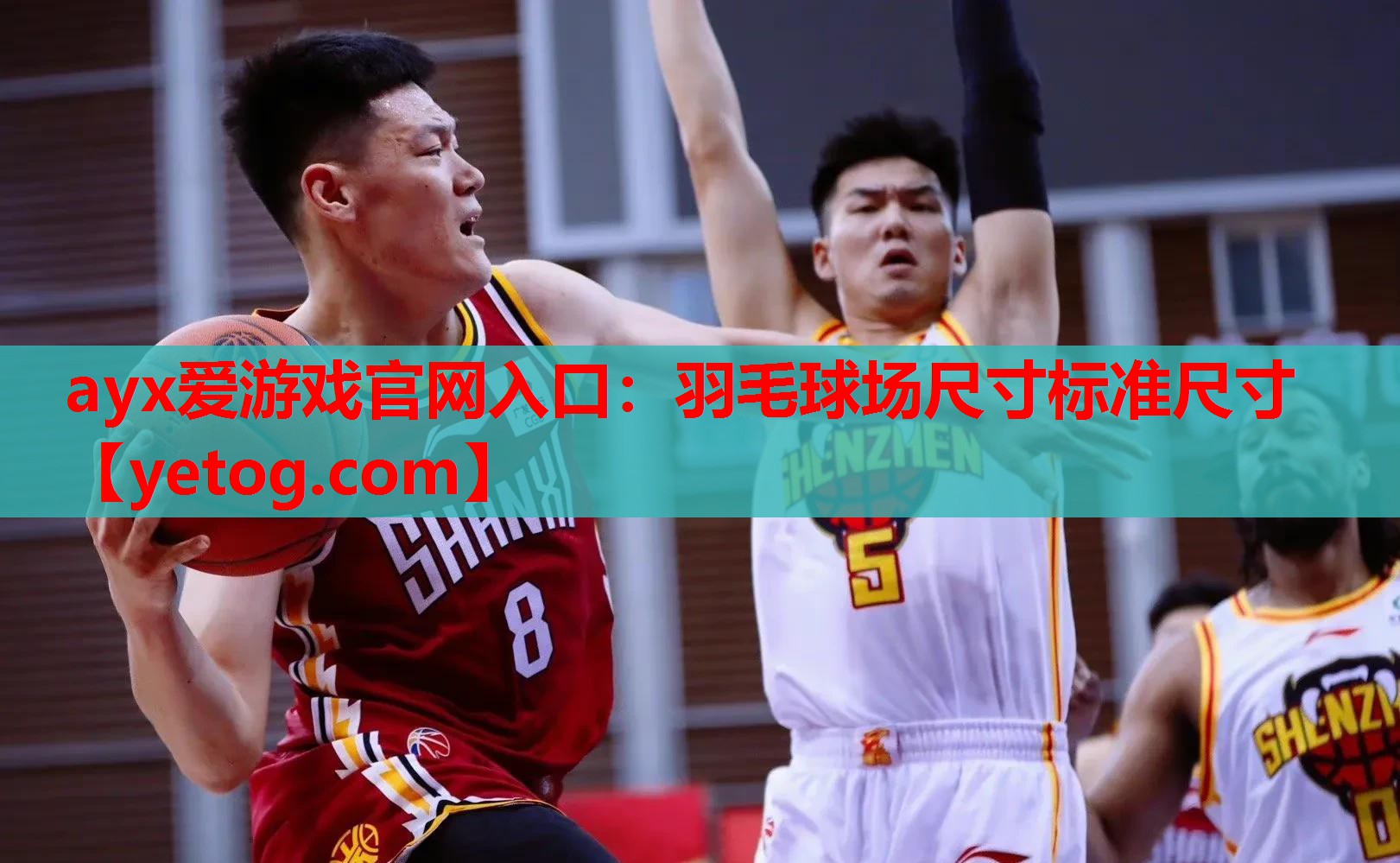 羽毛球场尺寸标准尺寸 羽毛球场尺寸标准尺寸