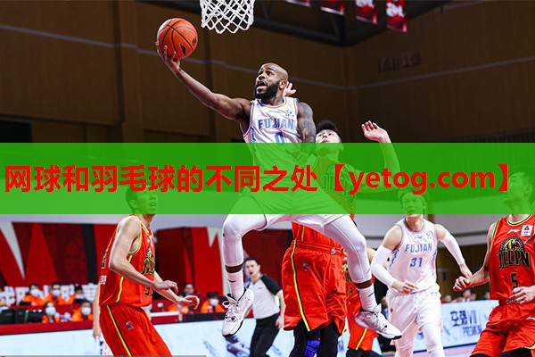 网球和羽毛球的不同之处 网球和羽毛球的不同之处