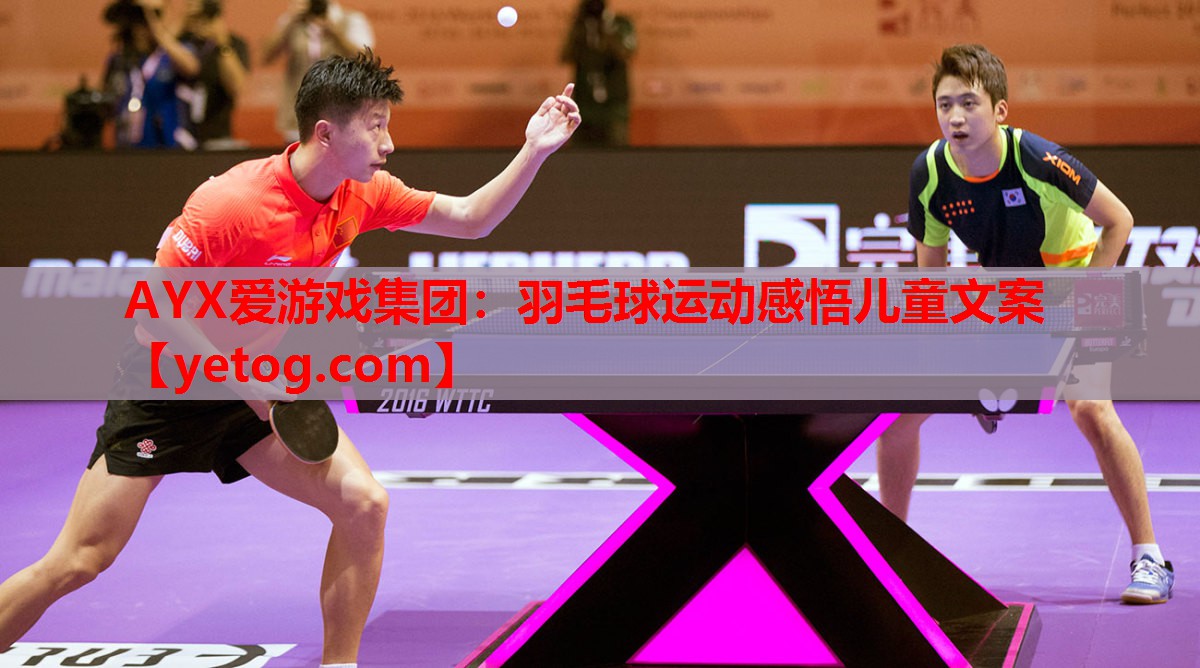 羽毛球运动感悟儿童文案 羽毛球运动感悟儿童文案