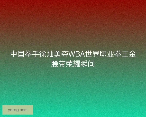 中国拳手徐灿勇夺WBA世界职业拳王金腰带荣耀瞬间 中国拳手徐灿勇夺WBA世界职业拳王金腰带荣耀瞬间